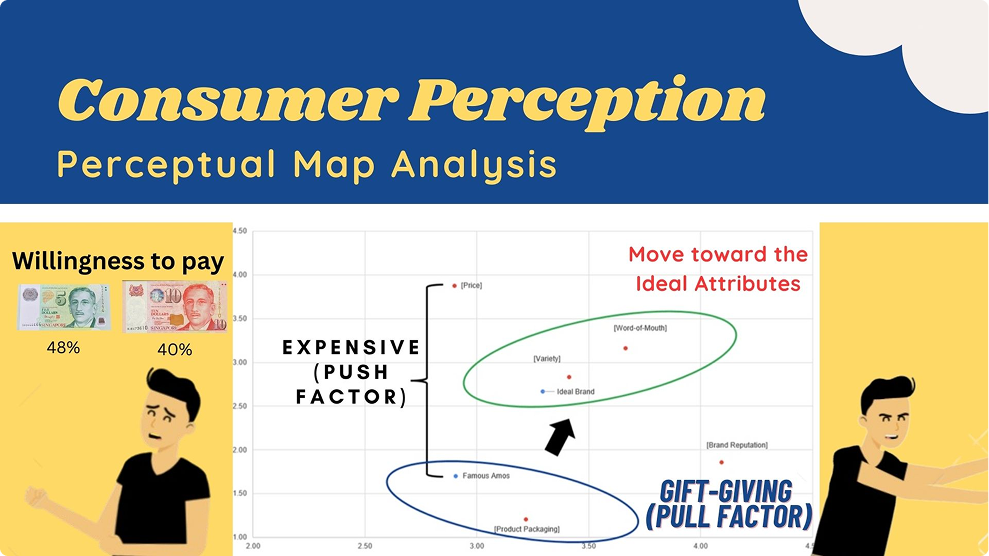 Consumer Perception Map Analysis